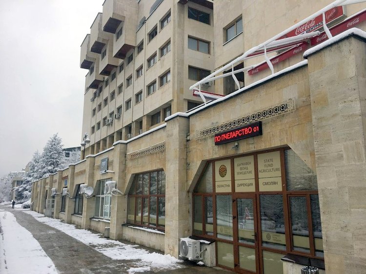 От днес пчеларите могат да подават документи за помощ, чакат ги близо 5млн.лева