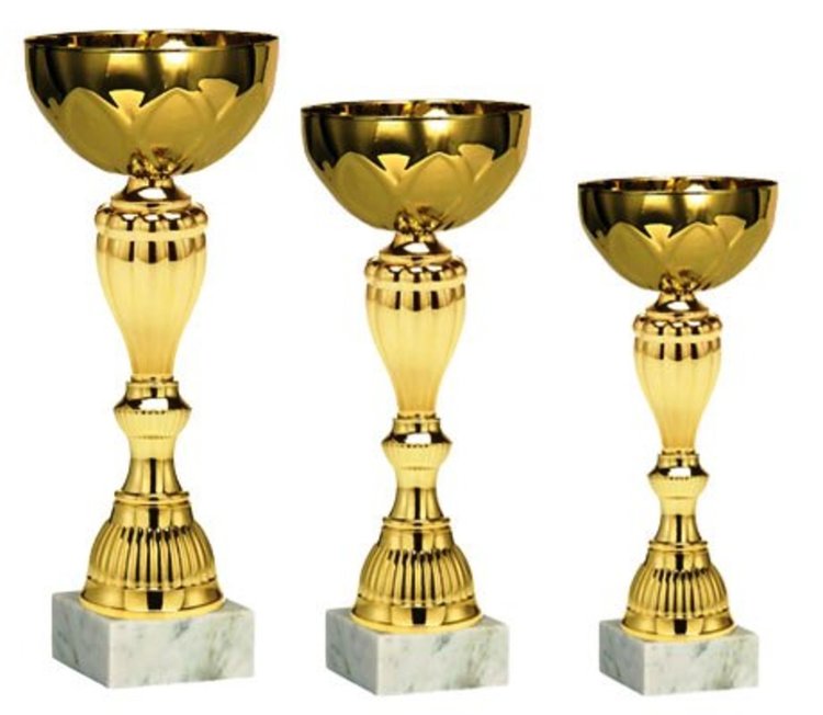 Ардинци избират своите спортисти на годината