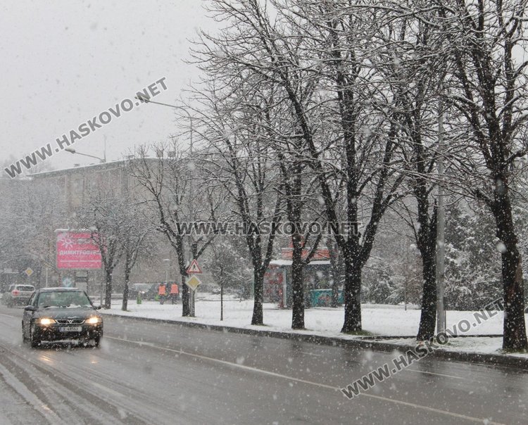 Пънищата в община Димитровград са проходими при зимни условия