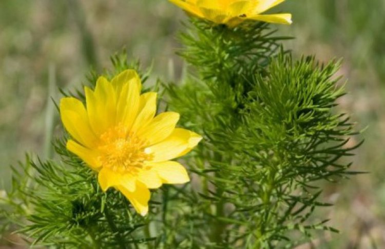 Честит празник на всички с имената...