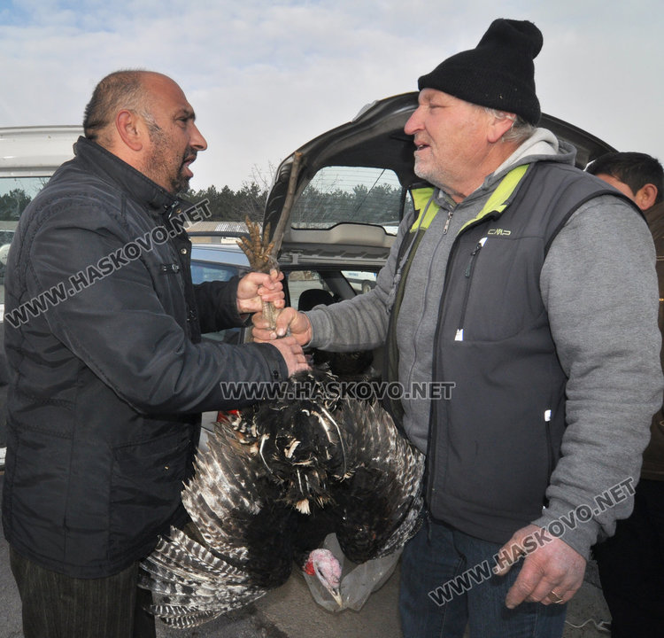 Хасковлии се втурнаха да купуват пуйки и прасенца за Коледа