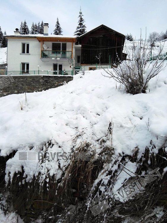 Стръвница или не,мечката е господар на гората и буди сериозен респект дори само със следите си