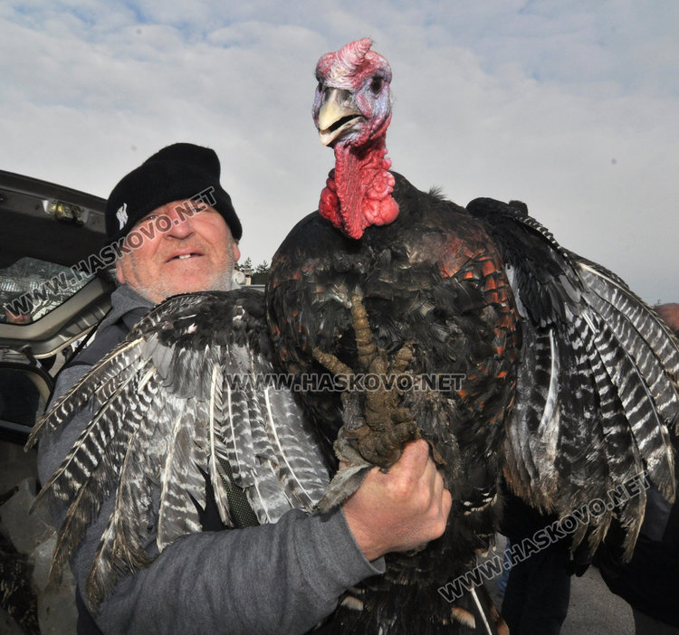 Айдън продава пуйки