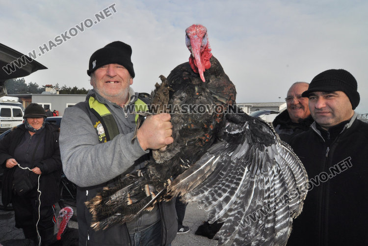 Хасковлии се втурнаха да купуват пуйки и прасенца за Коледа