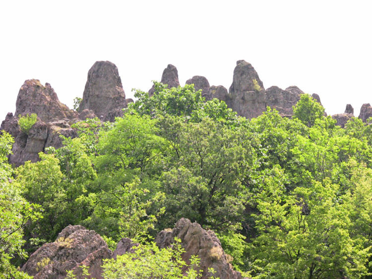 Снимката е илюстративна