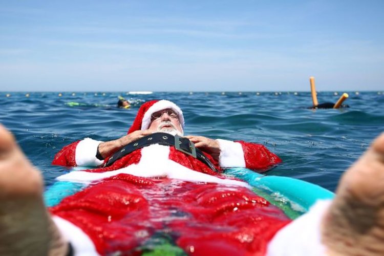 Първата Коледна елха в Хасково е украсена през 1913 година. Любопитни факти за Коледа