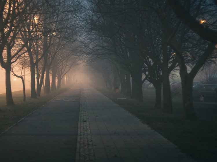 Намалена е видимосттта в Асеновград и Първомай поради мъгла