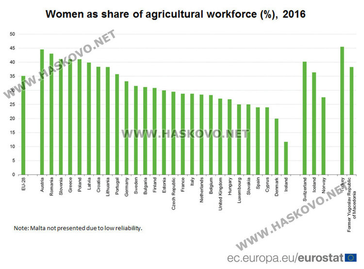 Над 30 % от земеделските стопани у нас са жени