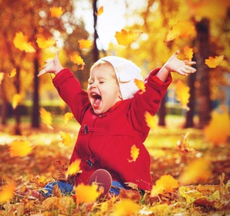 Слънце и 10 градуса в последния ден на годината