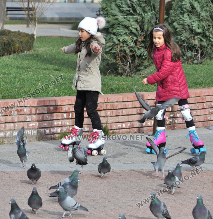 Новата година започва със слънце и 14 градуса