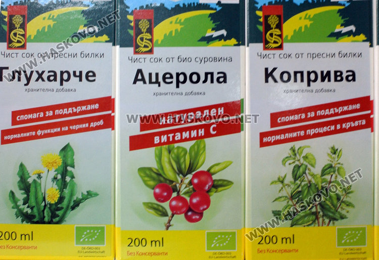 Ехинацея и бъз – мощни имуностимуланти срещу грип