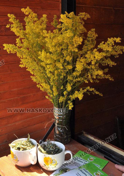 Билкарите с отчет пред властите до 20 януари, иначе – глоба