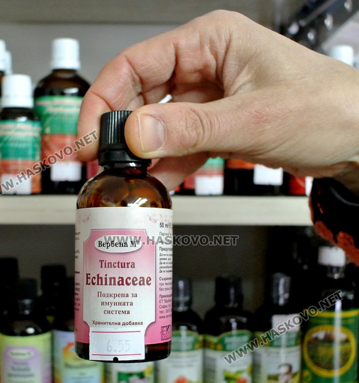 Ехинацея и бъз – мощни имуностимуланти срещу грип