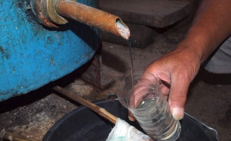 Ракиджийниците на ръба на оцеляването