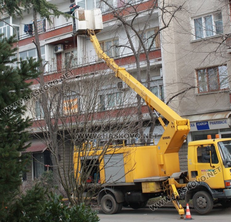 Оформят короните на дърветата по ул."Цар Симеон"