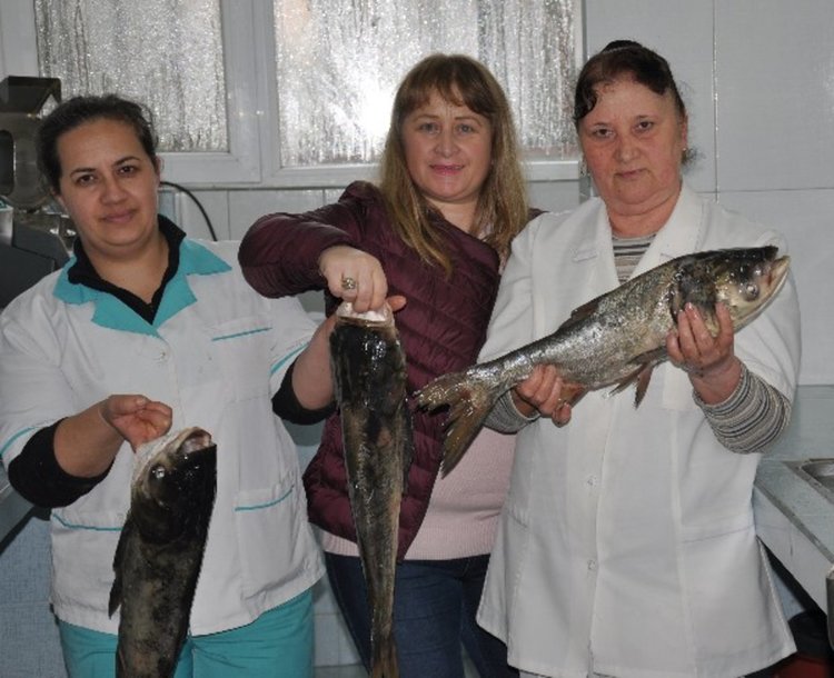 230 кг. риба бяха дарени на Домашен социален патронаж днес