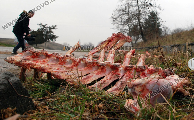 "Ходжова чешма" осеяна с животински кости
