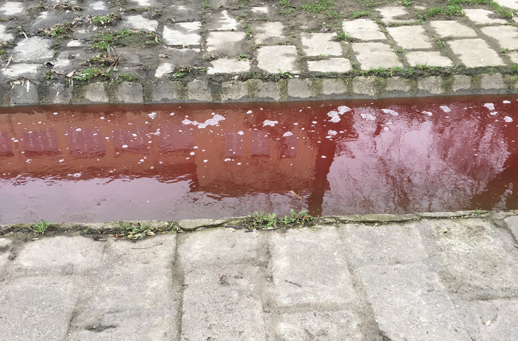 Хасковската река потече кървавочервена