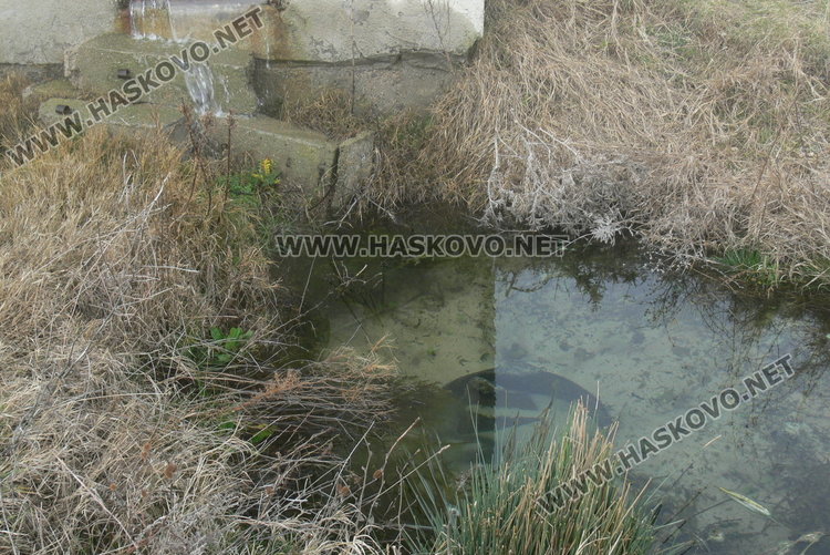 Клеясала клапа вдигна на крак ВиК