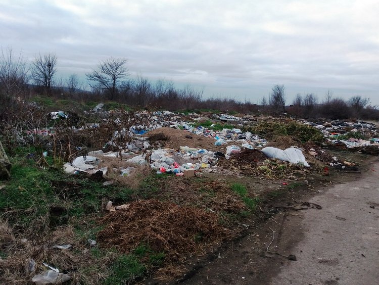 Незаконни сметища сеят зарази и привличат бездомни кучета
