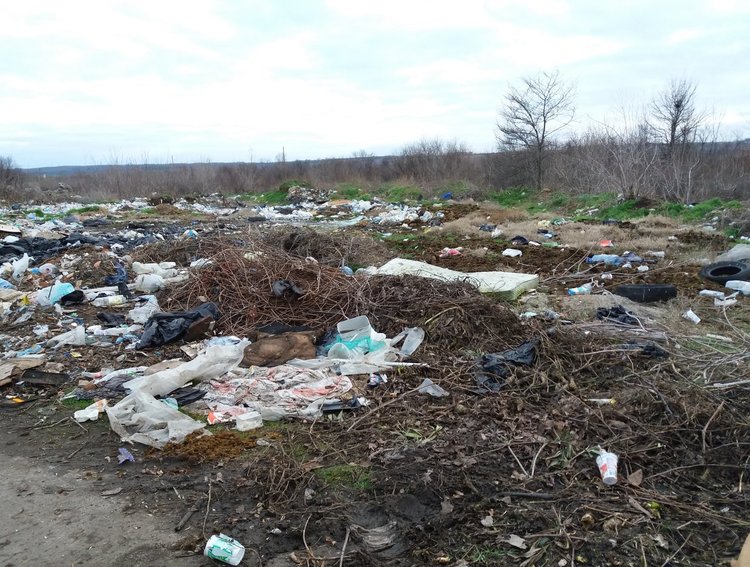 Незаконни сметища сеят зарази и привличат бездомни кучета