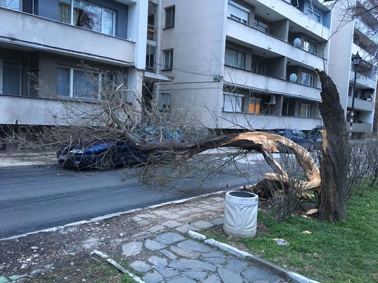 Asenovgrad.NET