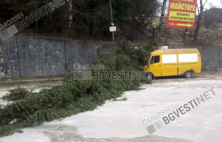 Ураганният вятър скъса далекопровод, половината община Смолян е без ток и мобилни връзки