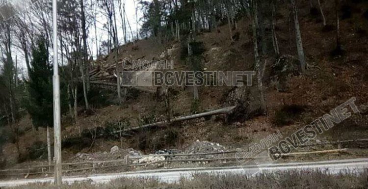 Южноцентралното горско предприятие Смолян: Готови сме за съдействие за справяне с бедствието