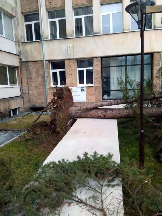 Повалени дървета  и паднали клони пред МБАЛ в Смолян