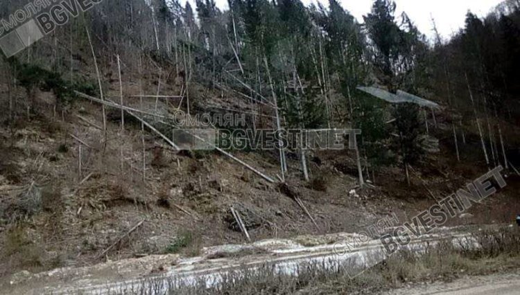 Южноцентралното горско предприятие Смолян: Готови сме за съдействие за справяне с бедствието