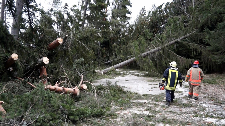 Пътят за Турян се разчиства, все още има села без ток в Община Смолян