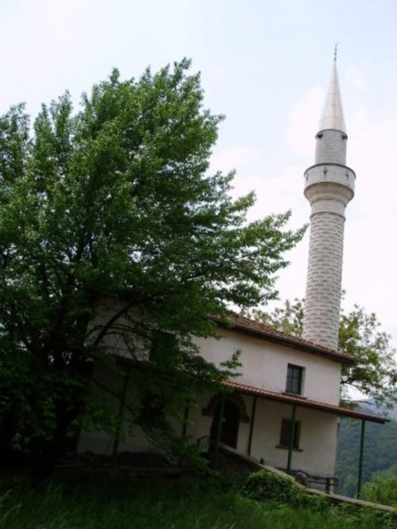 снимката е илюстративна