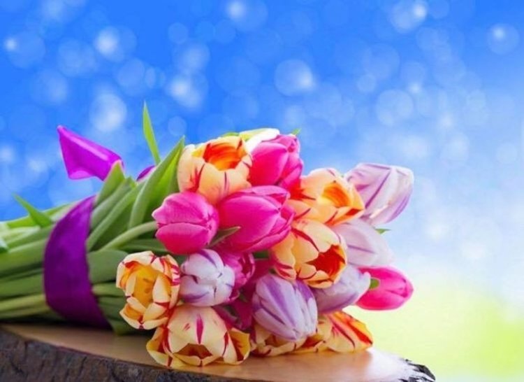 Имен ден честват дами с редки имена, означават "благочестива"