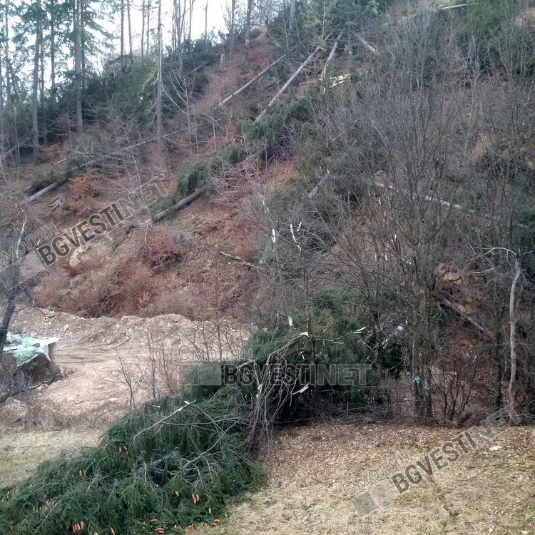 Снимка: архивен кадър от бурния вятър преди седмица