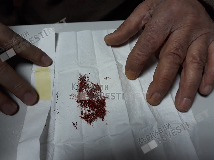 Хасан Тахиров: Шафранът вирее в българските земи от хилядолетия