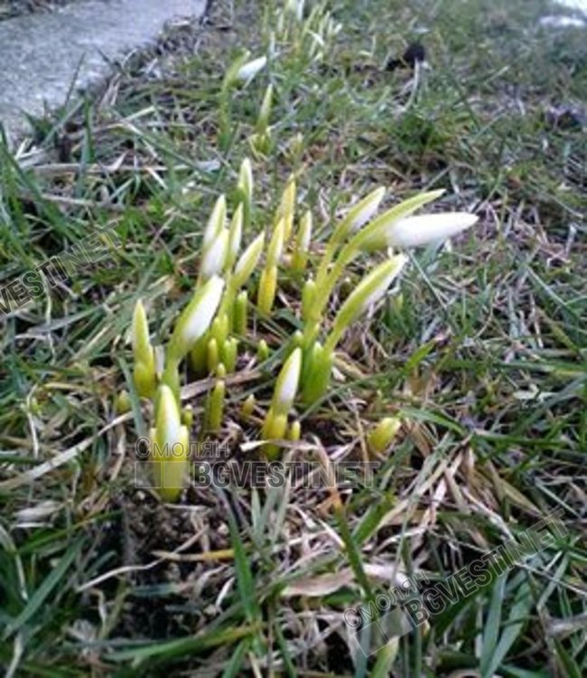 Студено, но слънчево, без ветрове и валежи