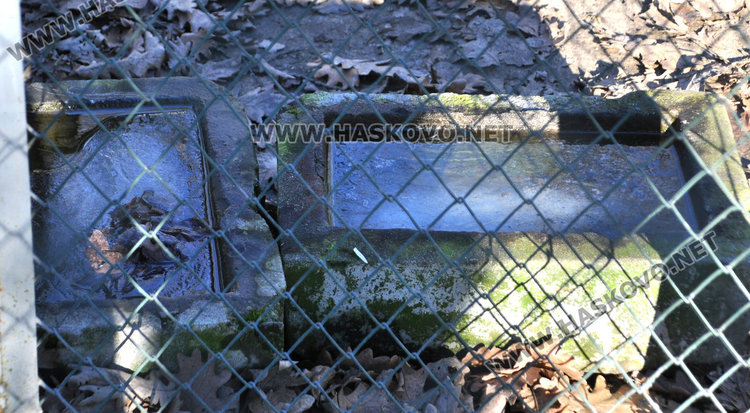 БАБХ и РИОСВ проверяват Зоопарка след сигнал на хасковлийка