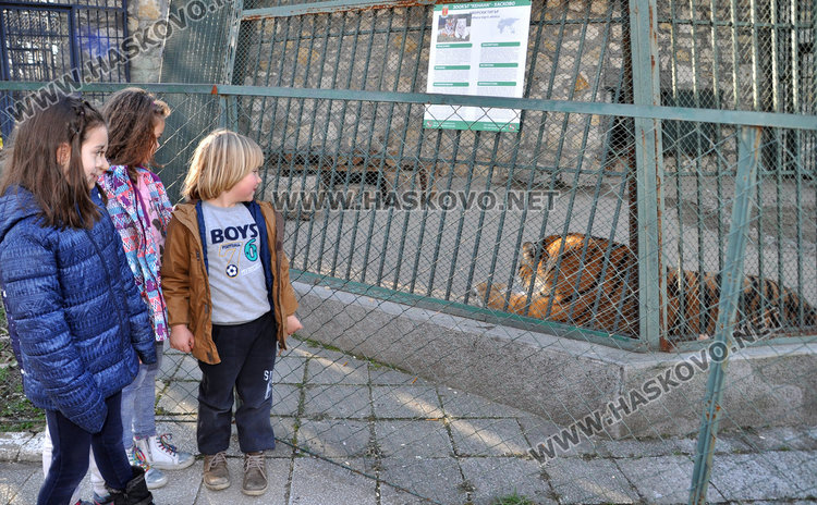 БАБХ и РИОСВ проверяват Зоопарка след сигнал на хасковлийка
