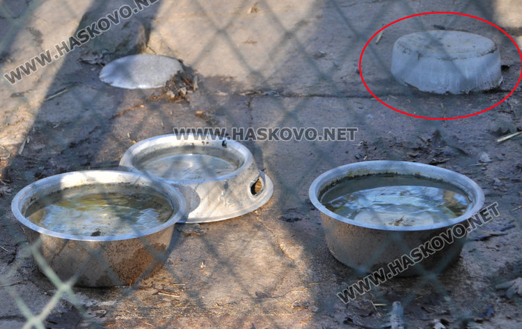 БАБХ и РИОСВ проверяват Зоопарка след сигнал на хасковлийка