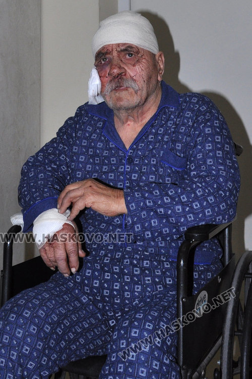 Овчарско куче нахапа зверски съсед на президента Румен Радев