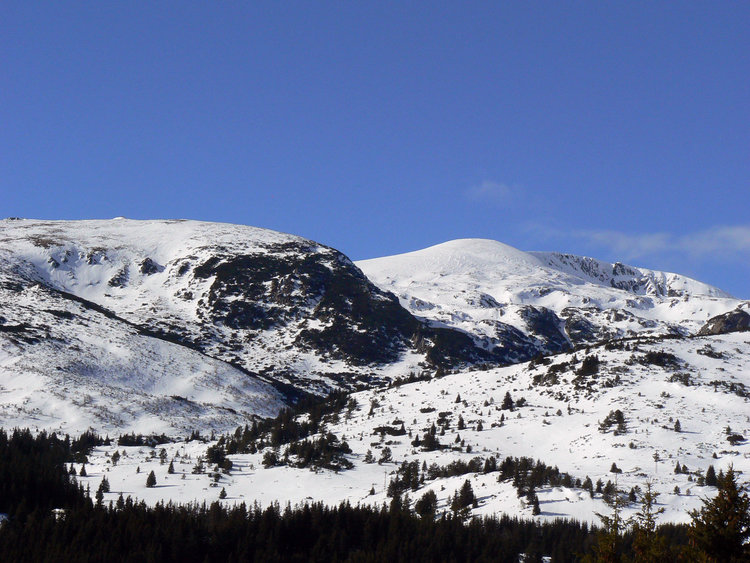 Двама от „Компас“ с по три медала от Държавното по ски ориентиране