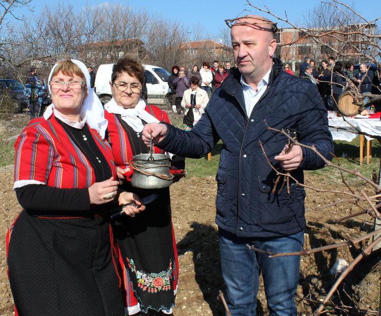 Зарязаха лозята в Стамболово, тънковци най-добри винари