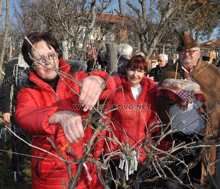 Зарязаха лозето в димитровградското село Голямо Асеново