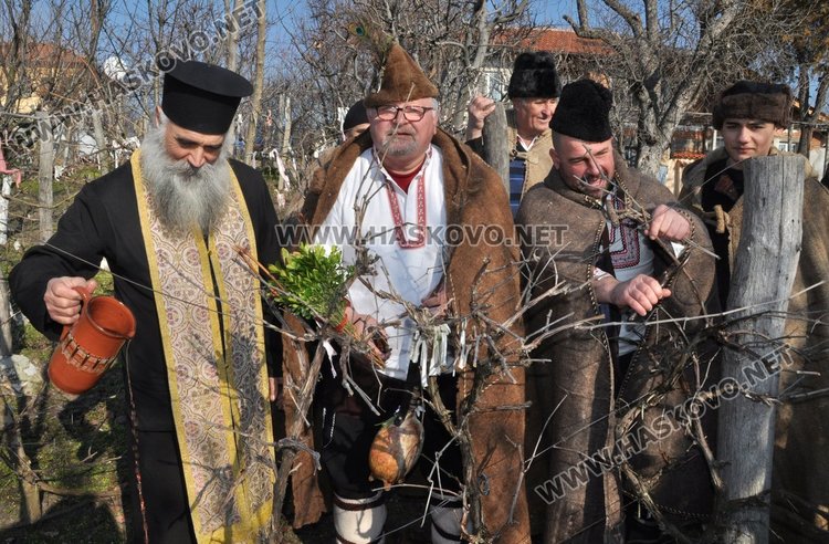 Зарязаха лозето в димитровградското село Голямо Асеново