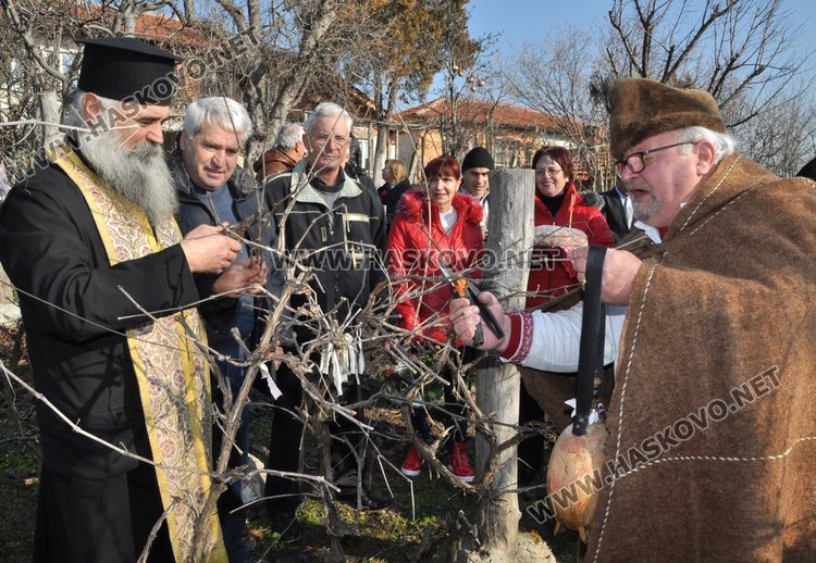 Зарязаха лозето в димитровградското село Голямо Асеново