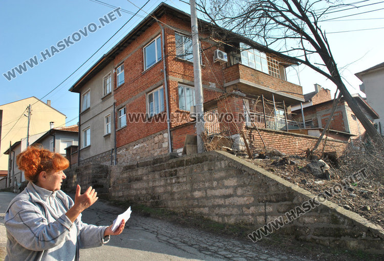 Държава и община безсилни пред опасно наклонено дърво в Хасково 