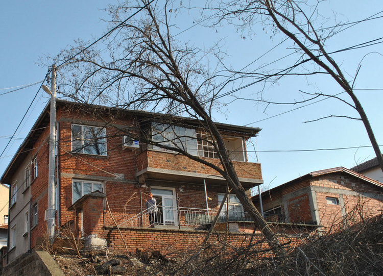 Държава и община безсилни пред опасно наклонено дърво в Хасково 