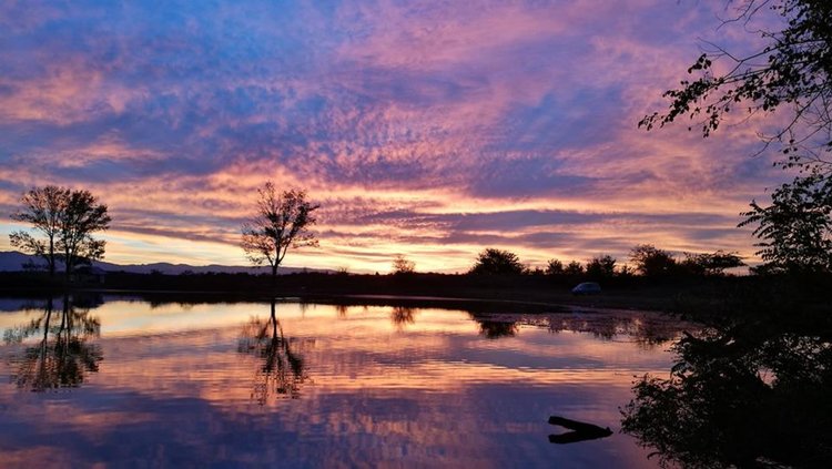 Първомайска ученичка е победител във фото конкурс на Пловдивския природонаучен музей
