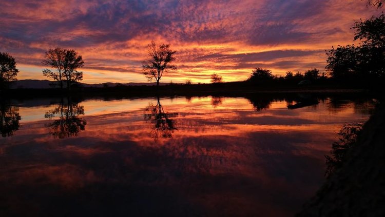 Първомайска ученичка е победител във фото конкурс на Пловдивския природонаучен музей