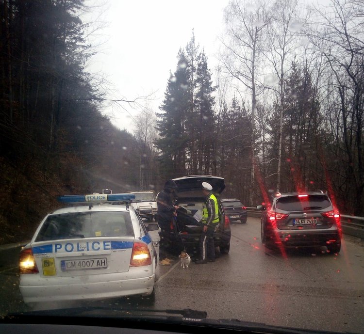 Челният сблъсък на два леки автомобила е станал днес на завой по пътя Чепеларе-Хвойна